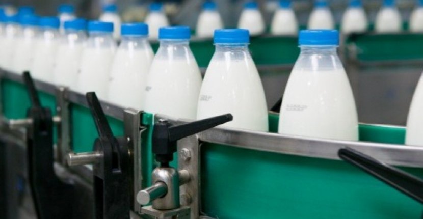 Сельхозорганизации наращивают производство молока
